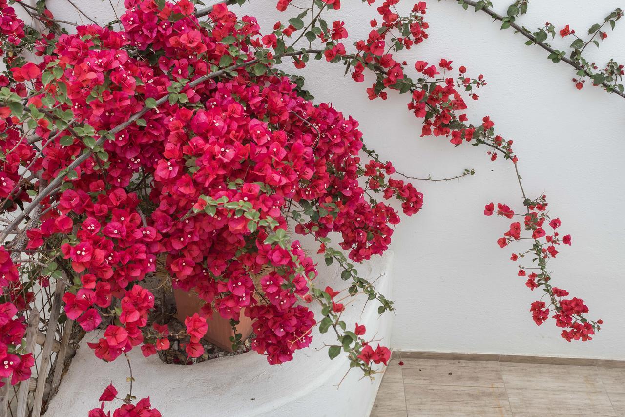 Depis Suites Naxos City Esterno foto